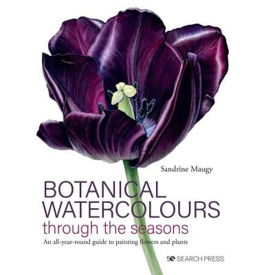 Botanical Watercolours Through the Seasons